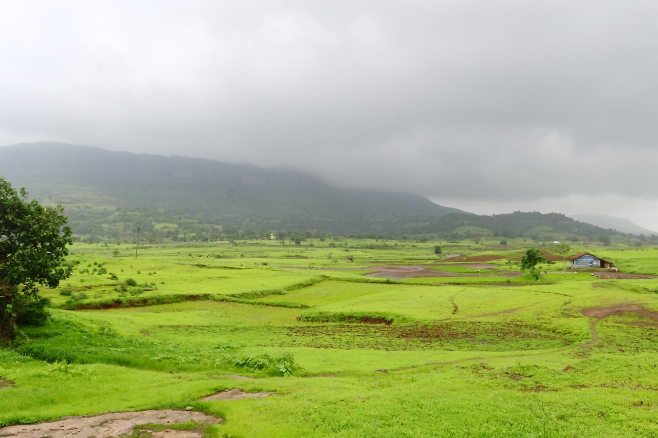 Corporate Taxi Service in Jabalpur: Why Companies Choose Turbo Taxi